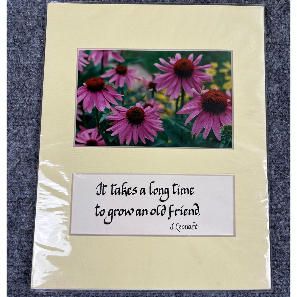 VTG 80s Art Print Blue Moon Designs Matted Echinacea Flowers‎ Friendship Quote